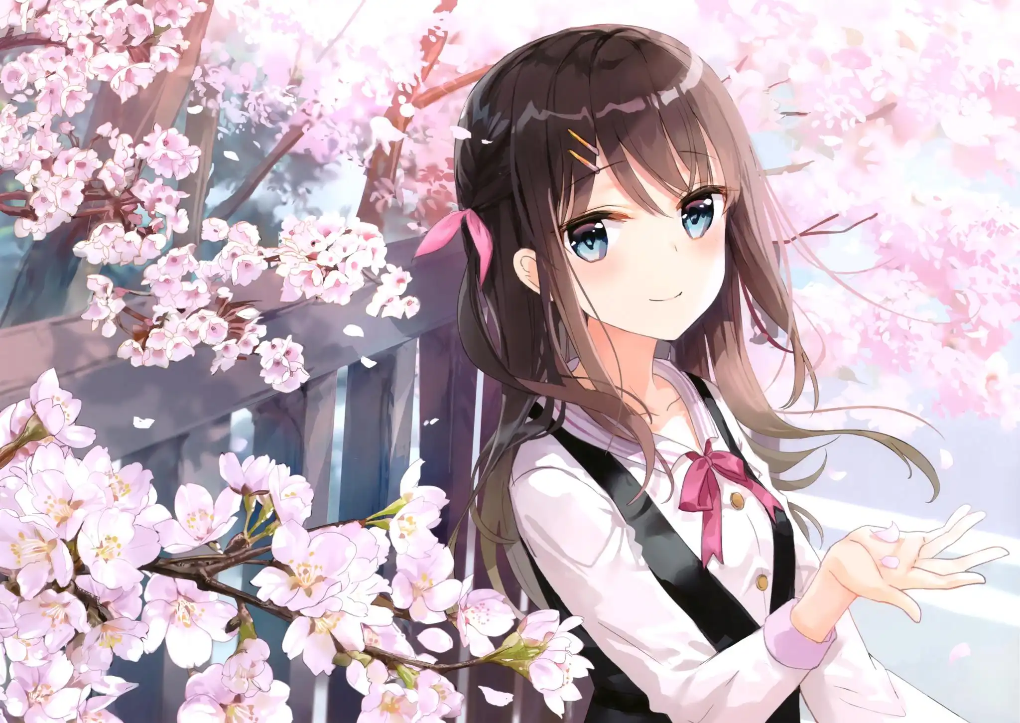C艹时间